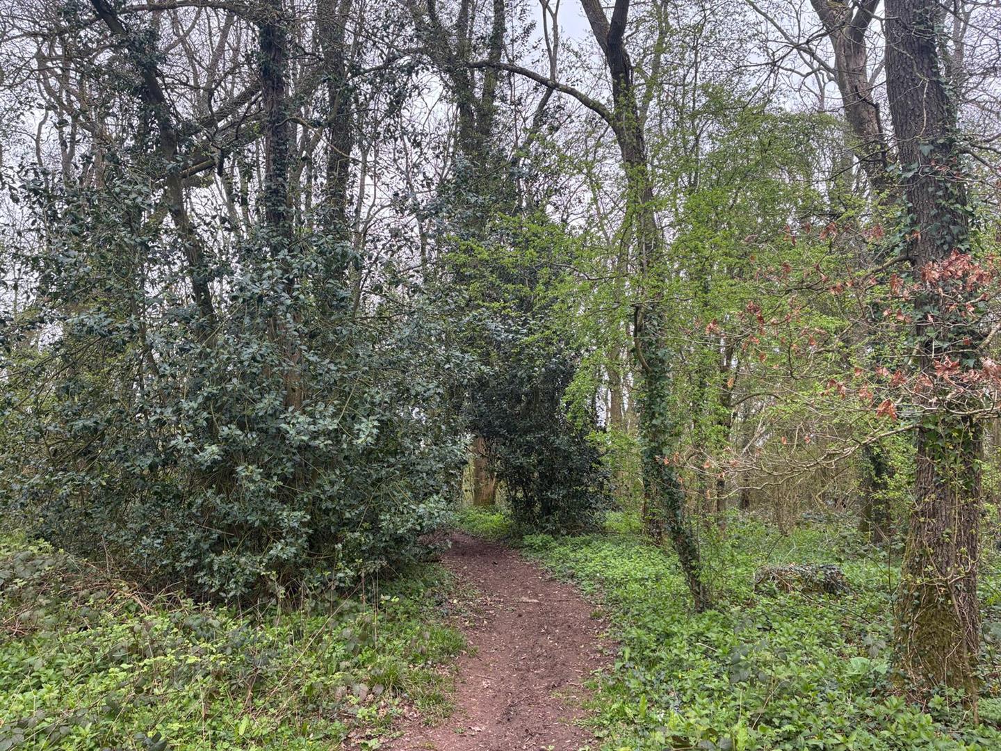 Image of Little Dewchurch, Hereford
